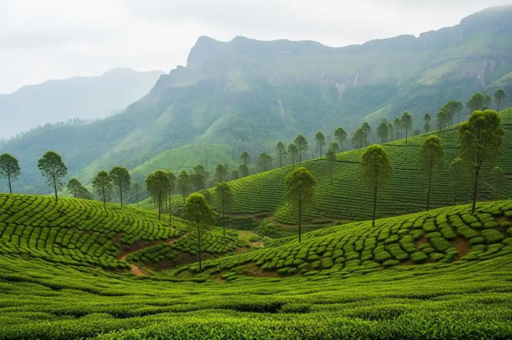 Best Places to Visit in India in May with family